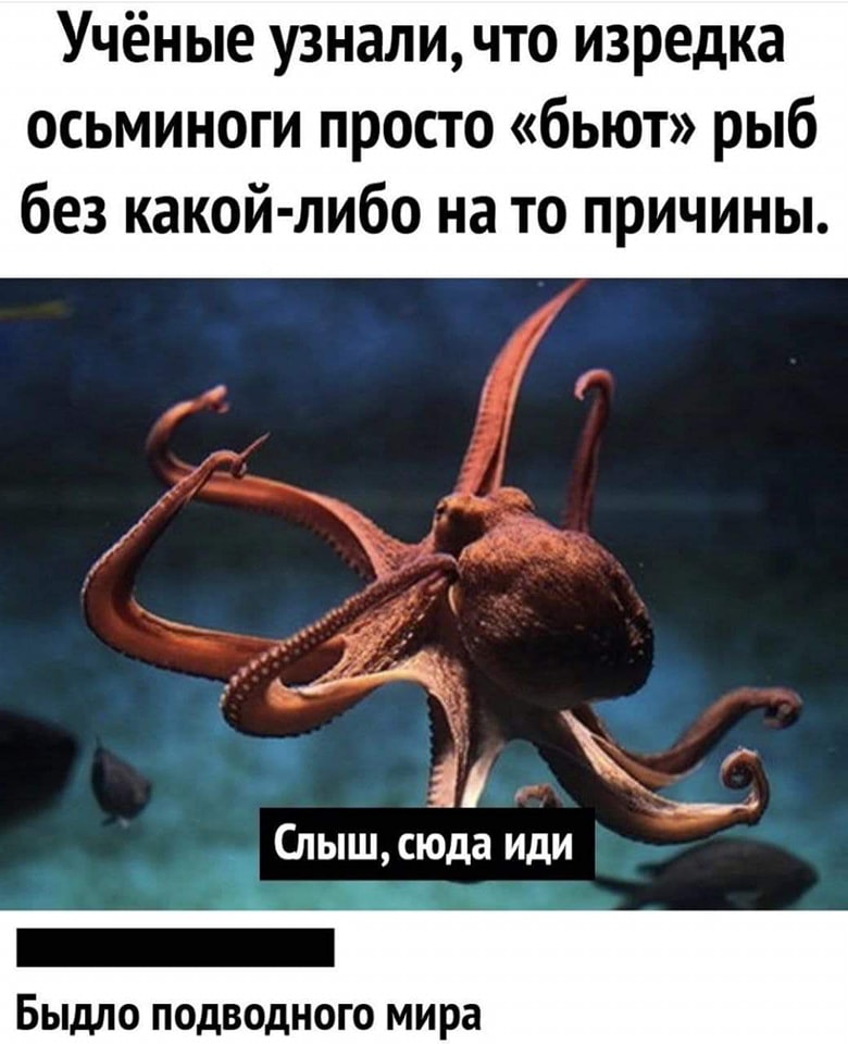 Доза позитива для хорошего настроения (36 шт)