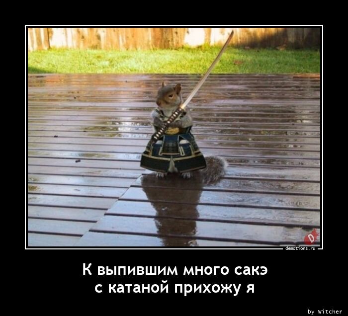 Свежих демотиваторов пост (18 фото)