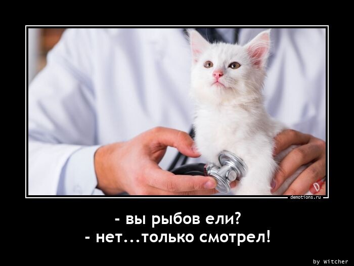 Свежих демотиваторов порция (17 фото)