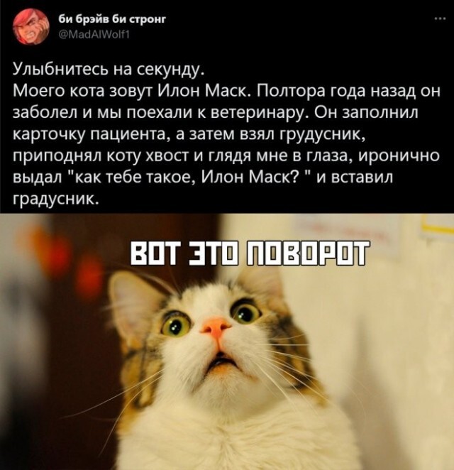 Прикольные комментарии и СМС-диалоги (16 фото)