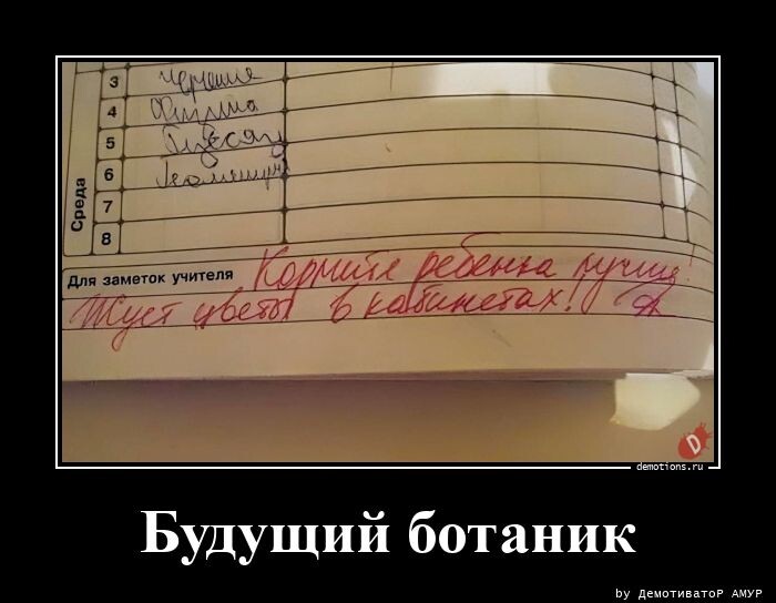Свежая порция демотиваторов (15 фото)