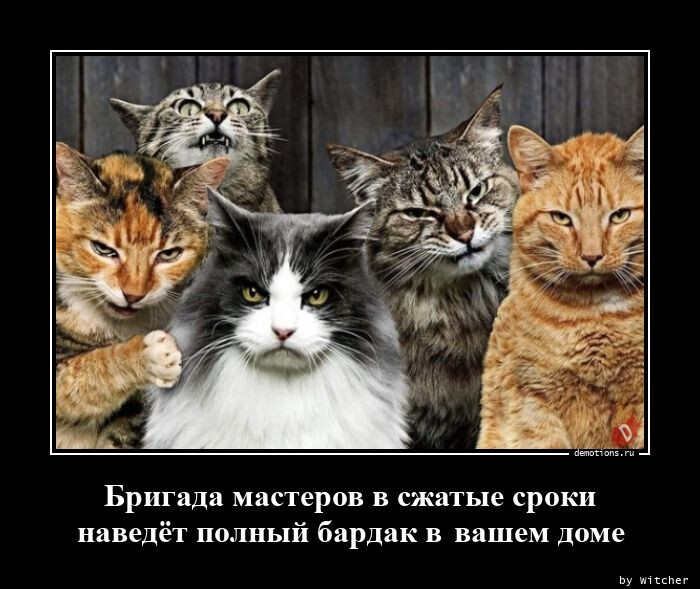 Демотиваторы-приколы (14 фото)