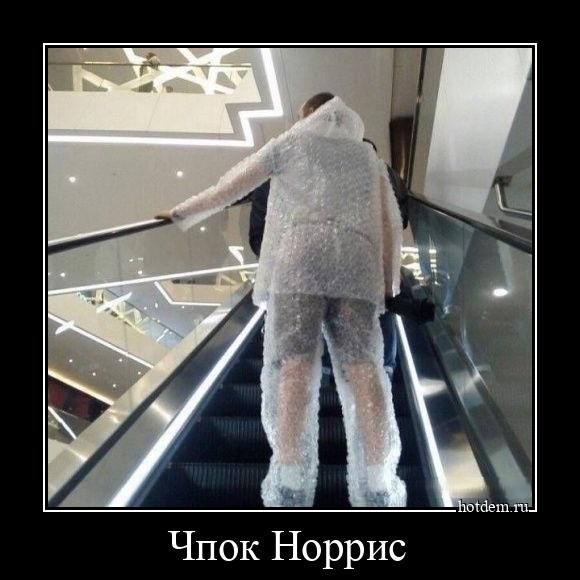 Демотиваторы дня (12 фото)
