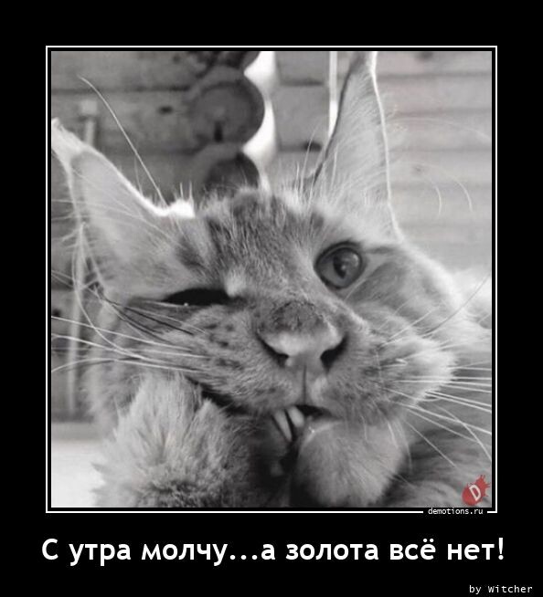 Отличный сборник демотиваторов (23 фото)