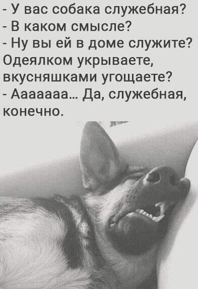 Классные фото-приколы и картинки (28 шт)