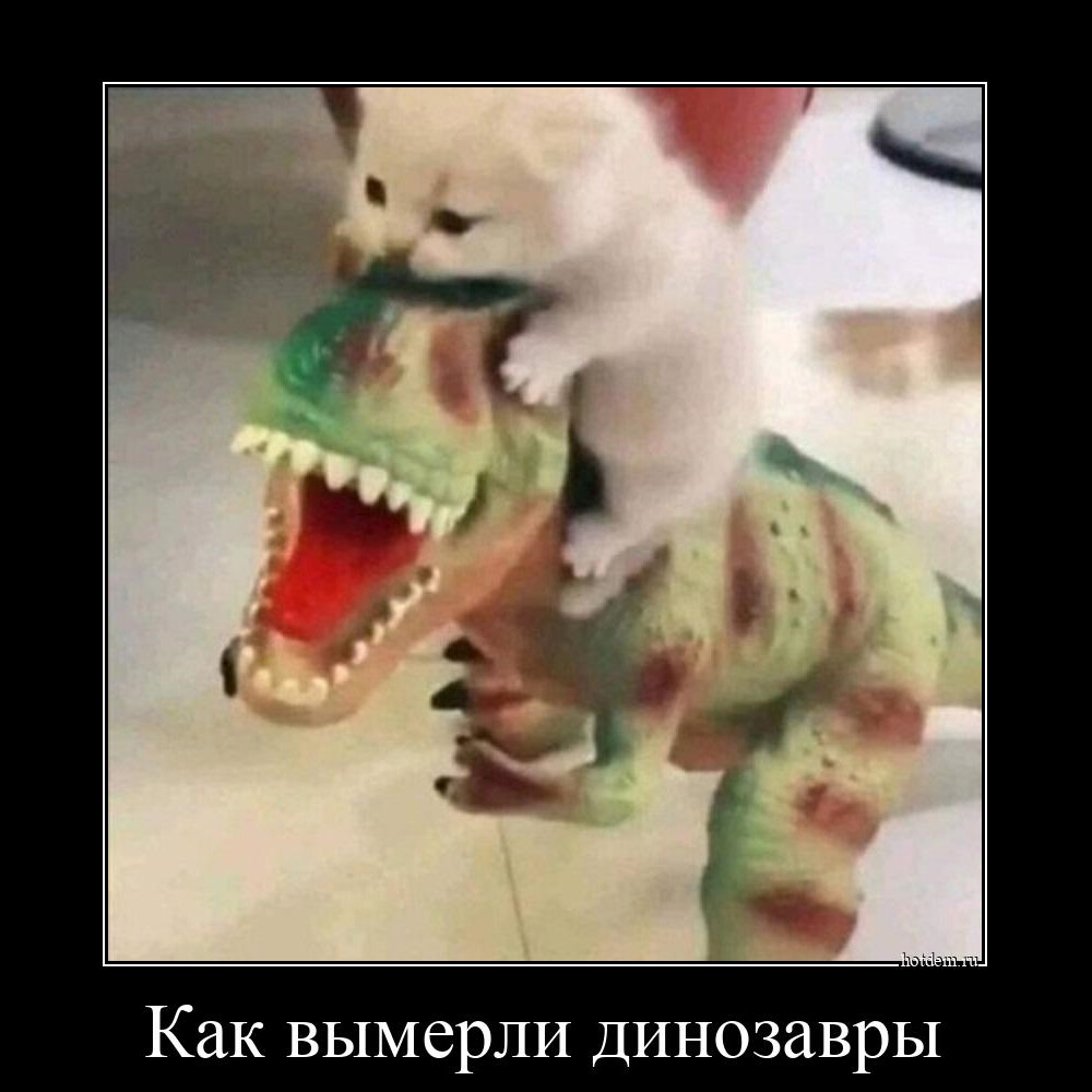 Демотиваторы для всех (14 фото)