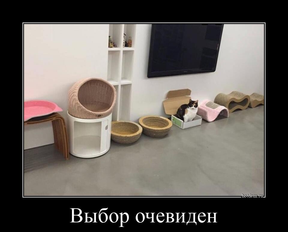 Демотиваторы на Бугаге (20 фото)