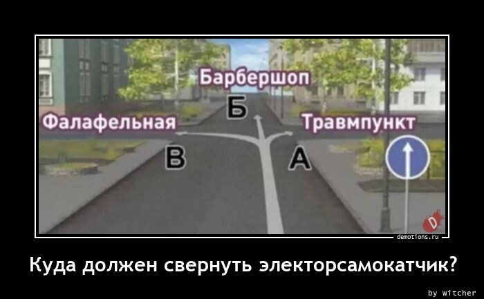 Демотиваторы дня (12 фото)