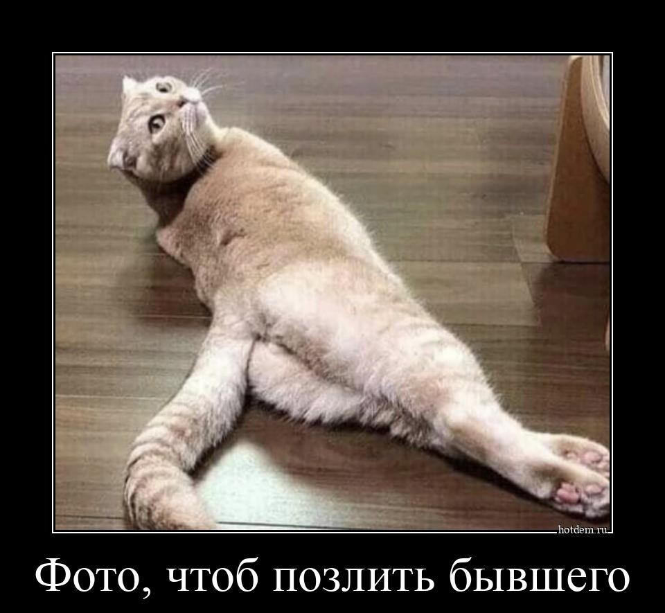 Демотиваторы для хорошего настроения (14 фото)