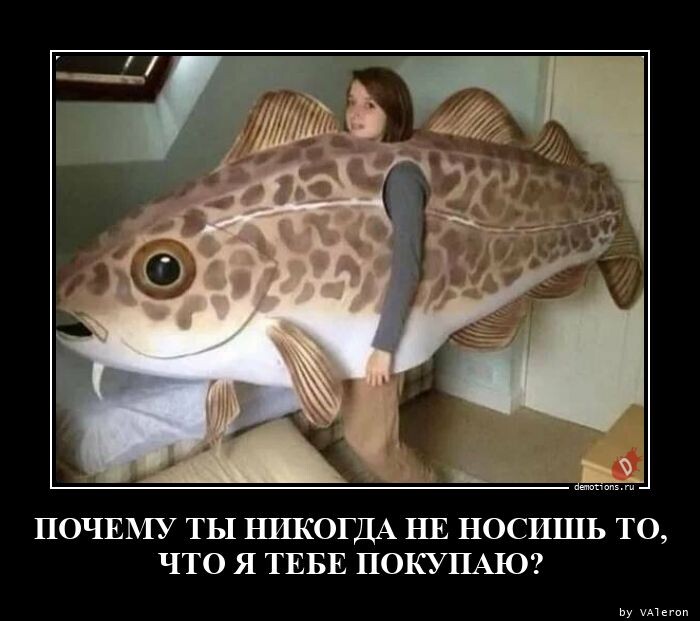 Свежих демотиваторов пост (16 фото)