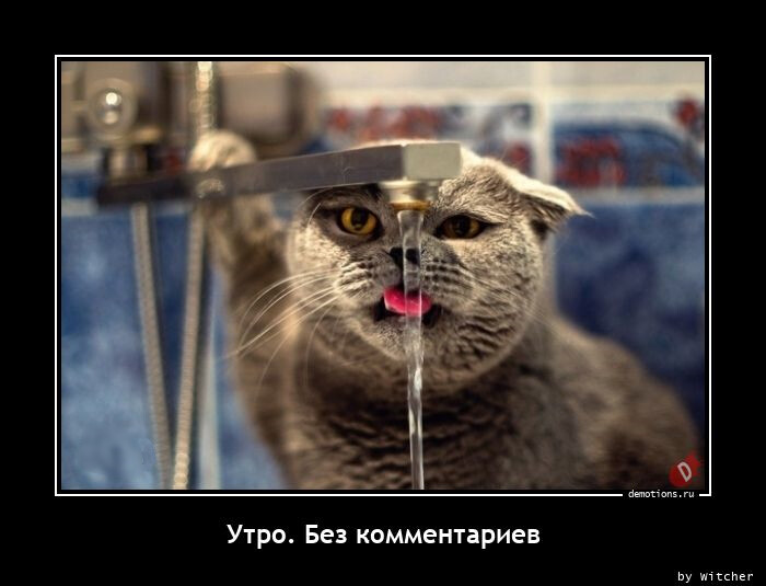 Демотиваторов сборник (14 фото)