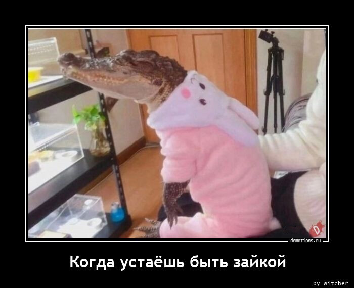 Демотиваторы дня (20 фото)