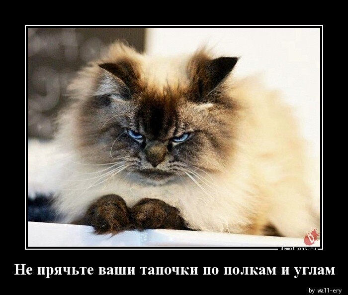 Демотиваторов пост (15 фото)