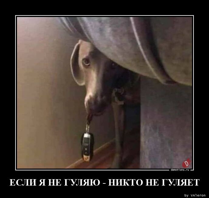 Демотиваторы для всех (21 фото)
