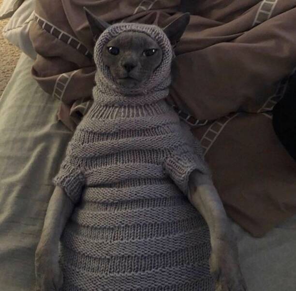 Юмор в фотках (28 шт)
