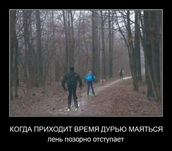 Демотиваторов порция (15 фото)