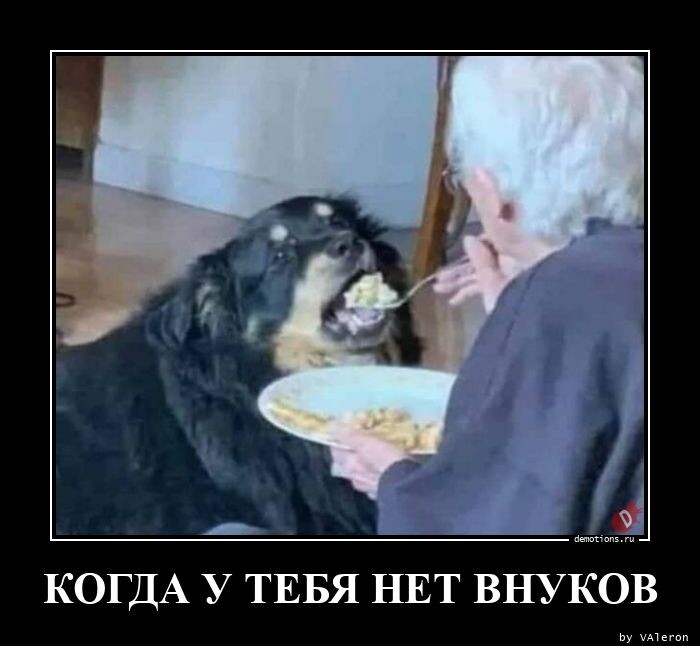 Демотиваторы-приколы (19 шт)