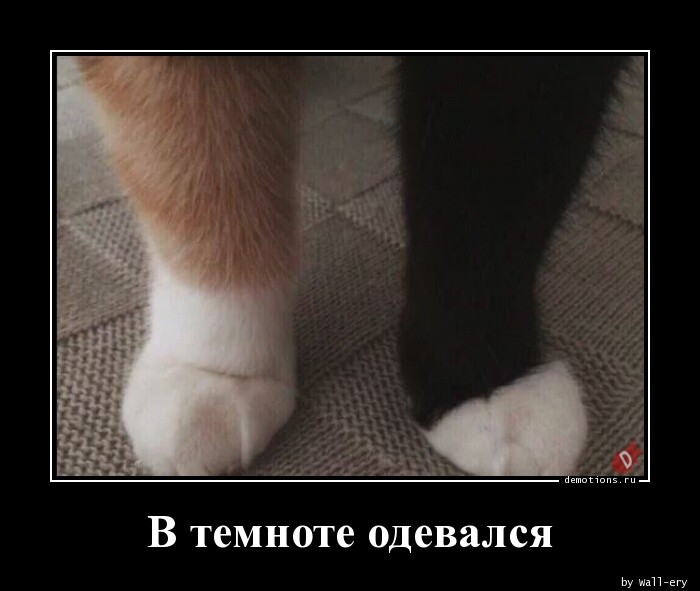 Демотиваторы-приколы (17 шт)