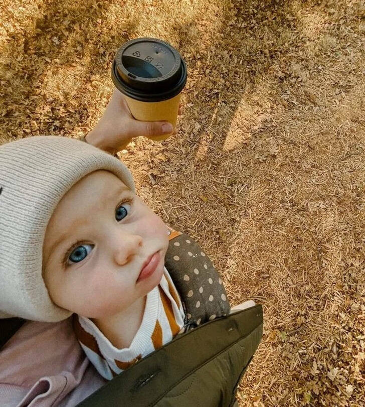 Прикольные фотографии, на которые придётся взглянуть дважды (16 шт)