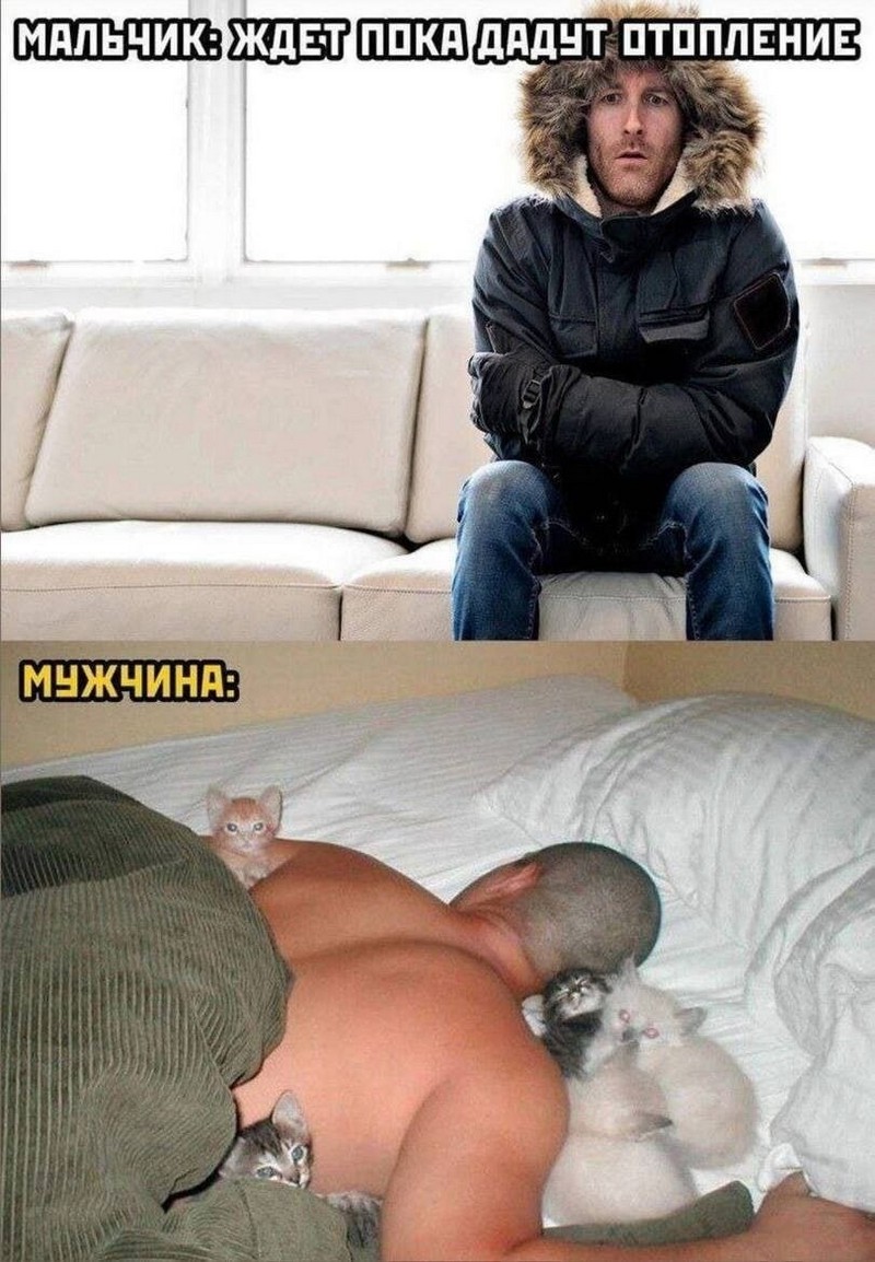 Подборка приколов (30 шт)