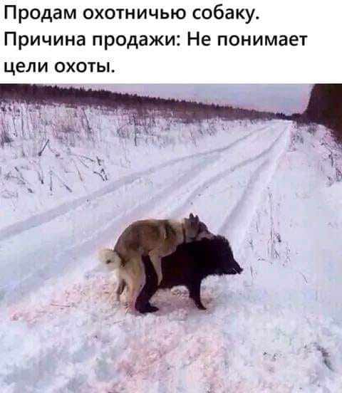 Приколы на ночь глядя (23 шт)
