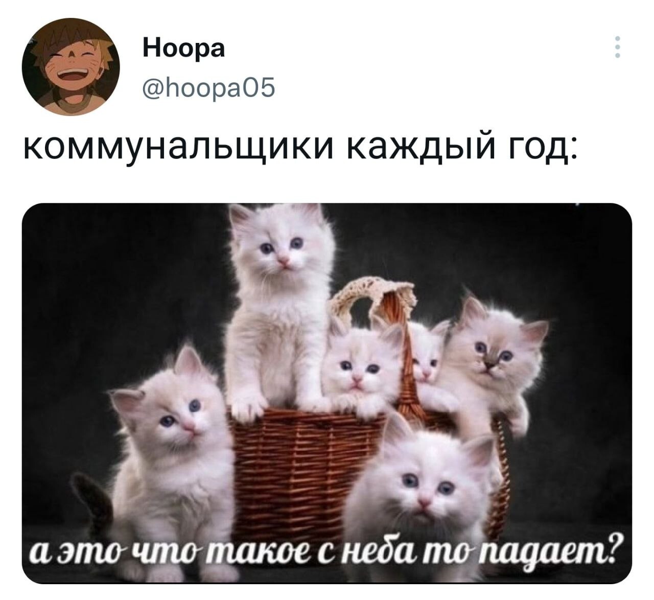 Смешные комментарии из соцсетей (16 фото)