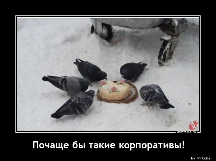 Свежие демотиваторы на Бугаге (14 шт)
