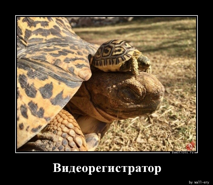Демотиваторы-приколы (16 шт)