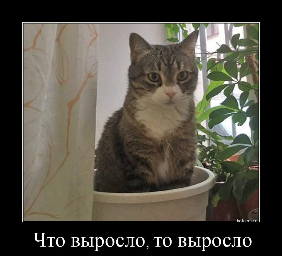 Демотиваторы-приколы (14 шт)