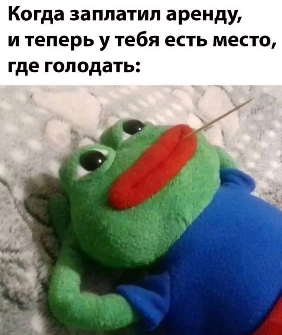 Прикольные картинки дня (42 шт)