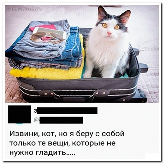 Новая порция смешных комментариев из соцсетей (19 фото)