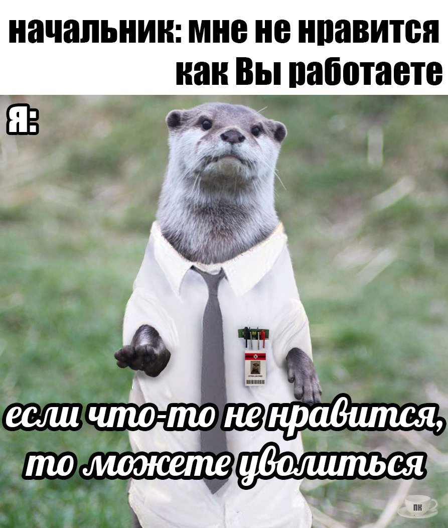 Приколы на ночь глядя (23 шт)