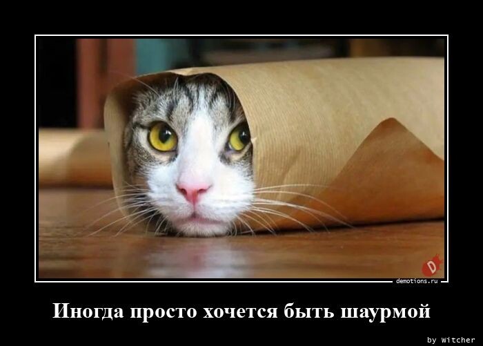 Демотиваторов пост (18 фото)
