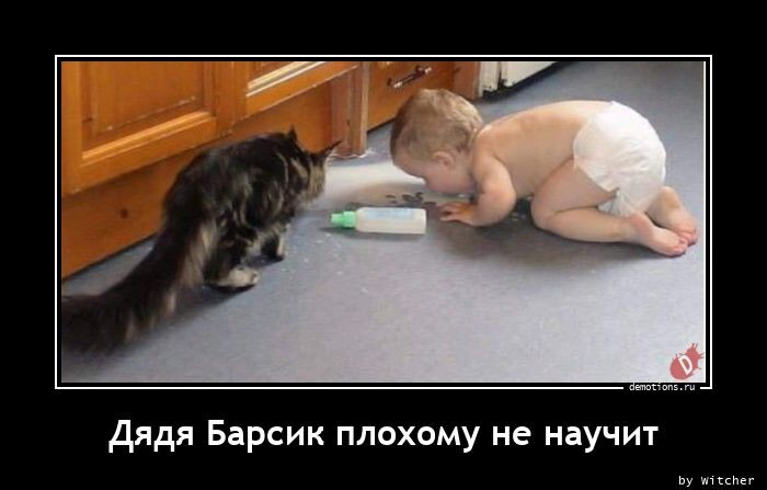 Прикольных демотиваторов пост (17 шт)