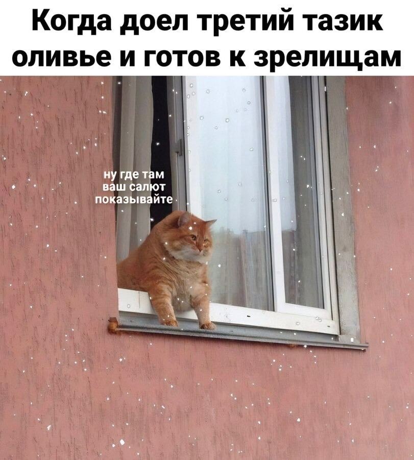 Новогоднего хихиатра вызывали? ;) (28 фото)