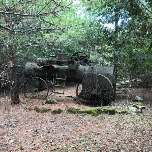 Гуляя по лесу, можно увидеть много интересного, загадочного и странного (26 фото)