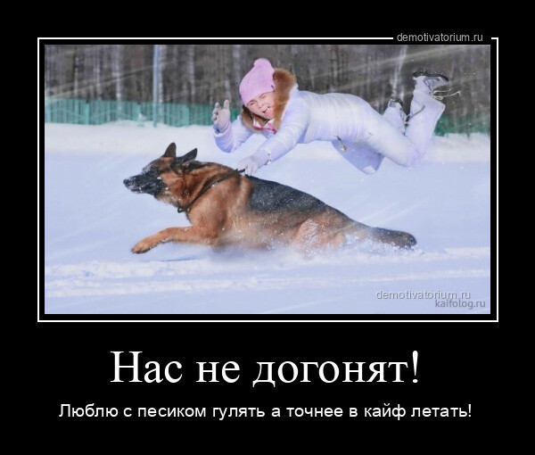 Прикольных демотиваторов порция (18 шт)