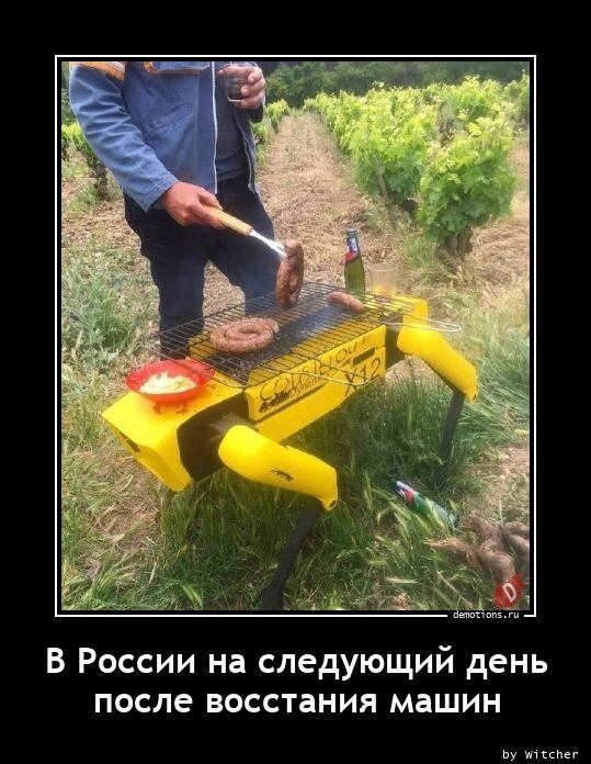 Демотиваторы для настроения (12 фото)