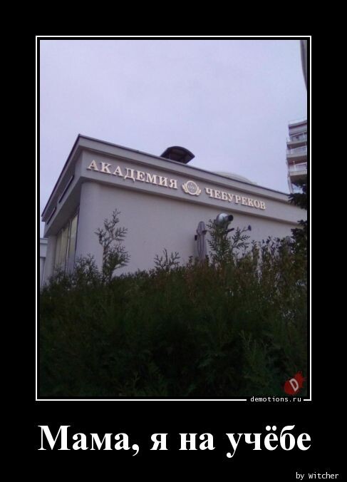 Прикольные демотиваторы в середине недели (14 шт)