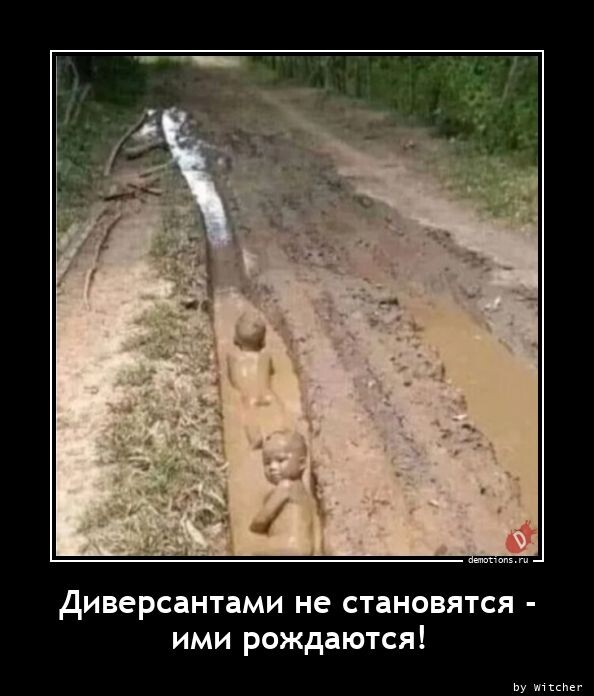 Демотиваторов пост (13 фото)