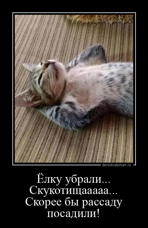 Прикольные демотиваторы на Бугаге (18 шт)
