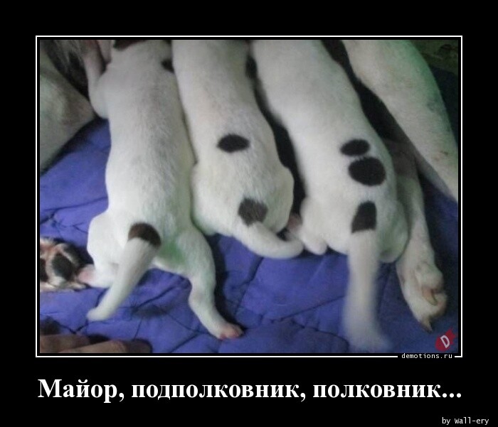 Прикольных демотиваторов порция (18 шт)