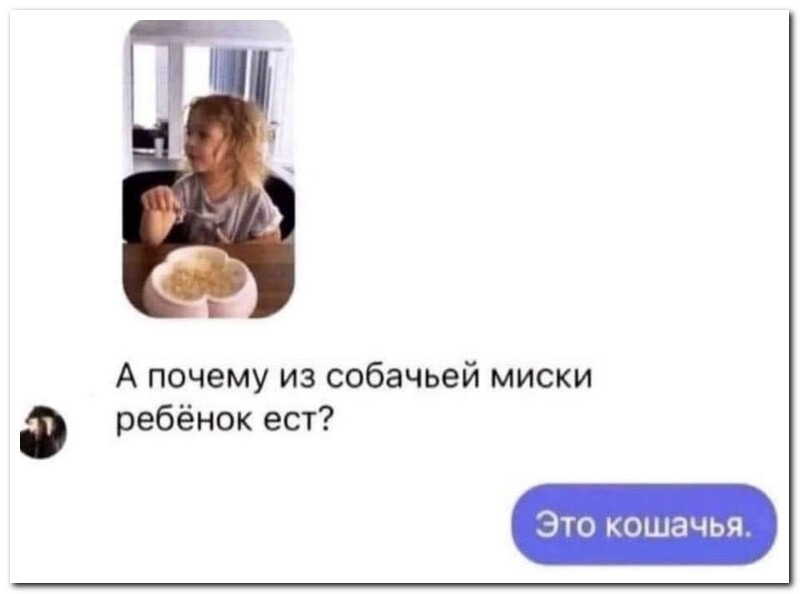 Прикольные комментарии и СМС-диалоги (17 фото)