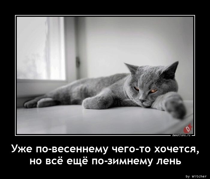 Демотиваторов пост (13 фото)