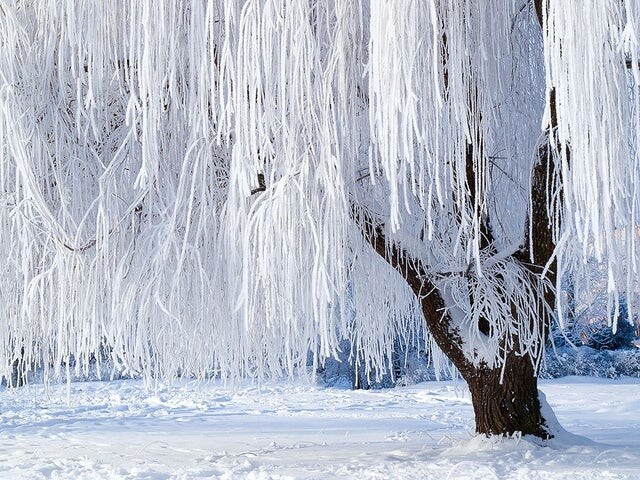 Фотографии для визуального удовольствия (14 шт)