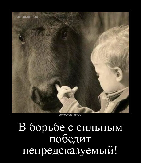 Демотиваторов порция (14 шт)