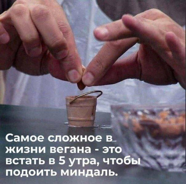 Свежая порция фотомемов (19 шт)