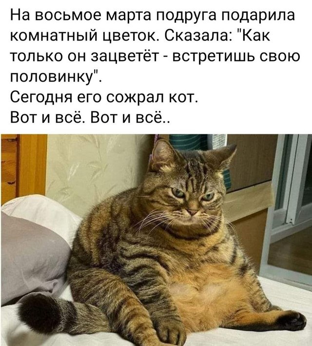 Подборка приколов (38 шт)