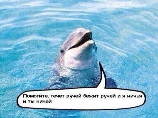Фотомемы для хорошего настроения (24 шт)