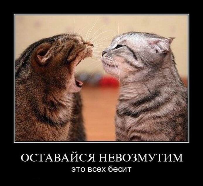 Демотиваторов порция (14 шт)